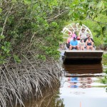 Wooten's Private Airboat Tour
