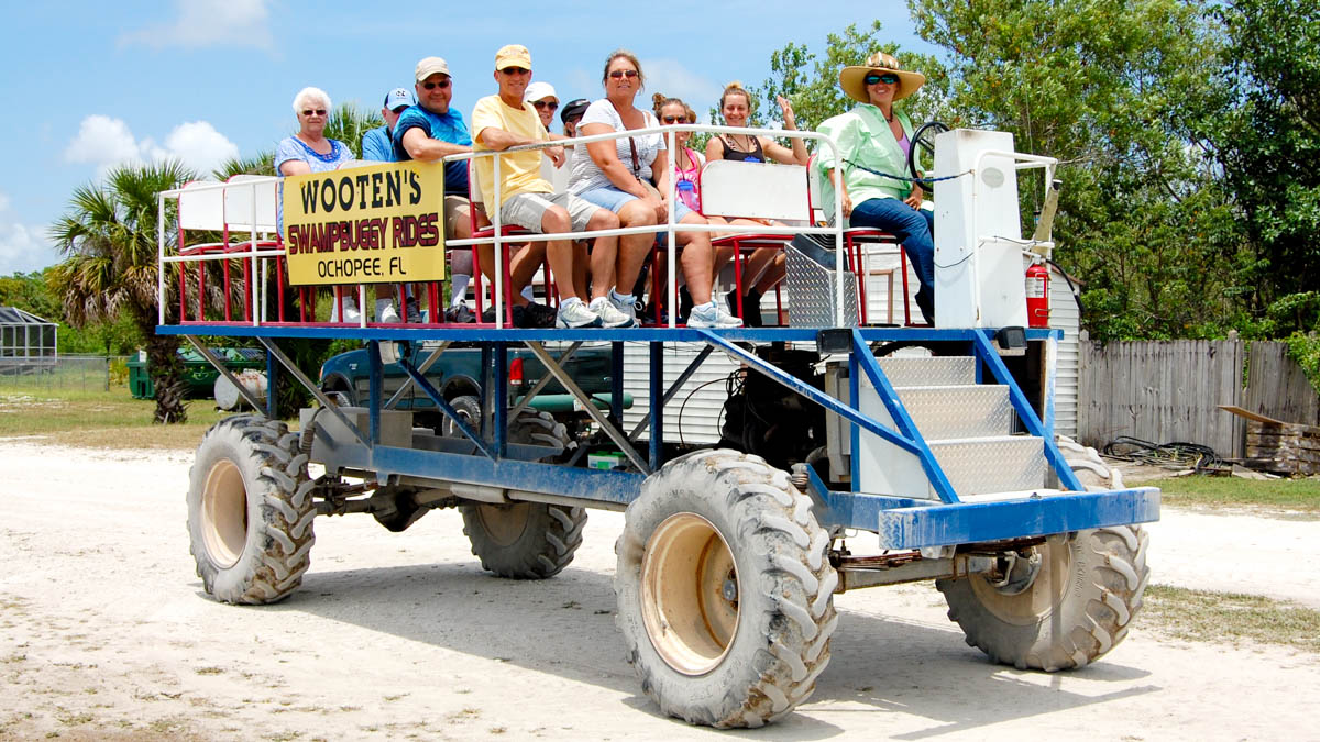 swamp buggy price