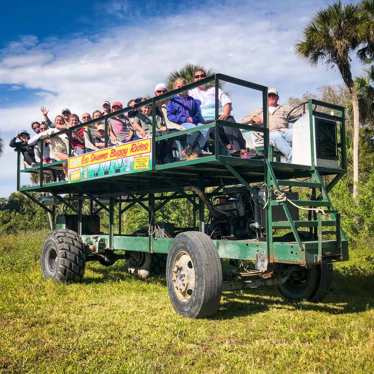 swamp buggy tour near me