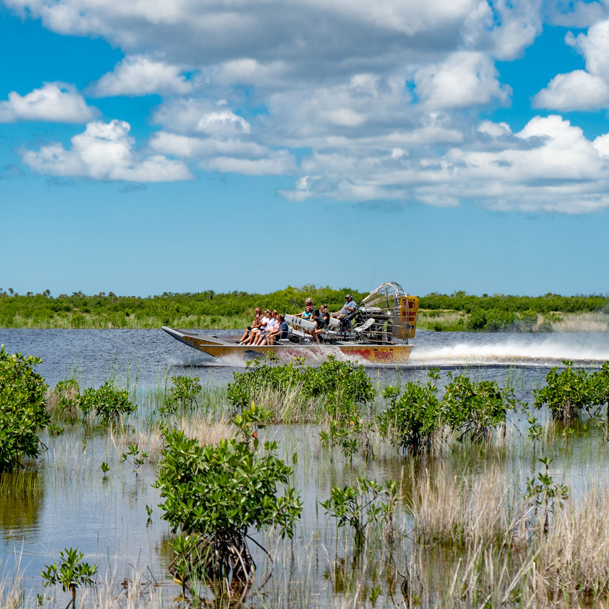 wooten's everglades airboat tour